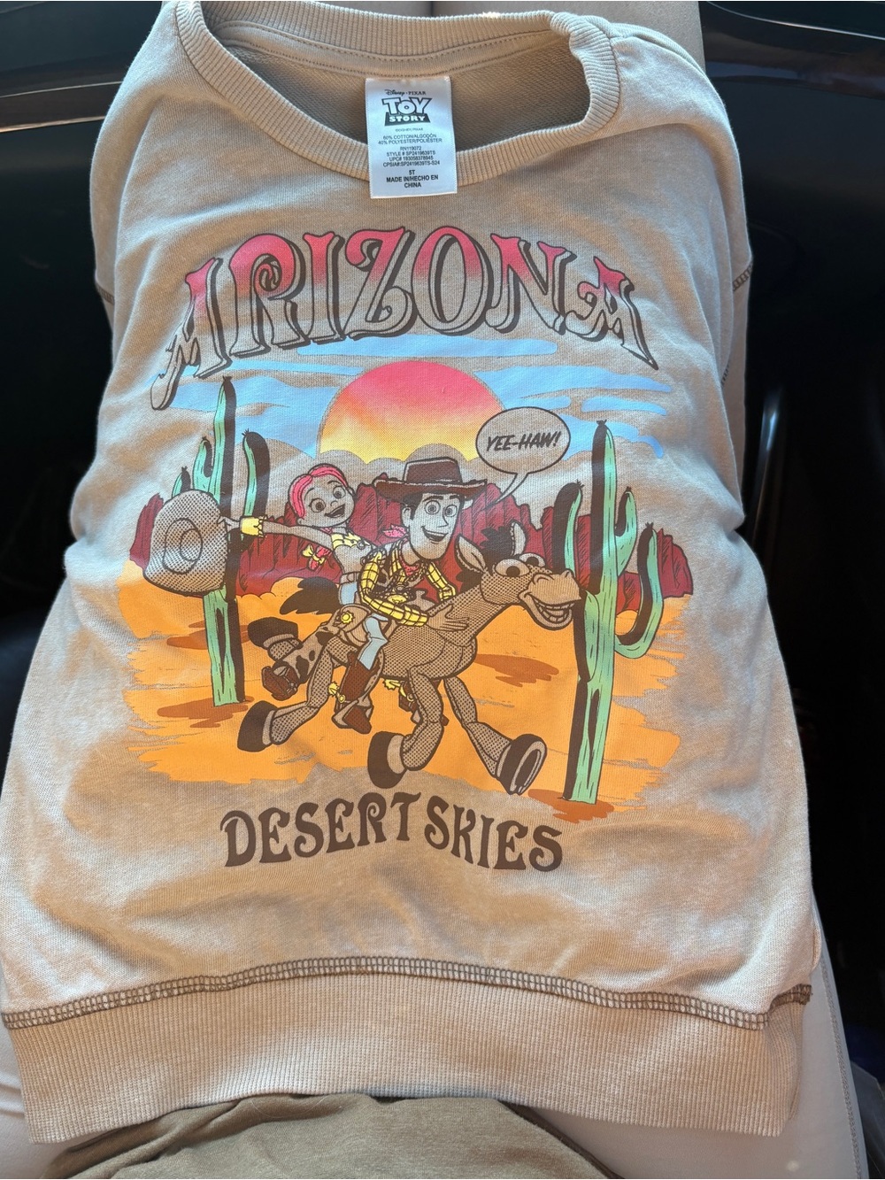 Disney Tan Kids Sweatshirt with Multicolor Arizona Desert Graphic